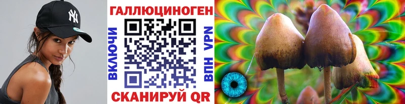 Галлюциногенные грибы MAGIC MUSHROOMS  где купить наркоту  дарк нет официальный сайт  Краснообск 